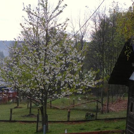 Apartament Haus Sonnentau Monschau Zewnętrze zdjęcie