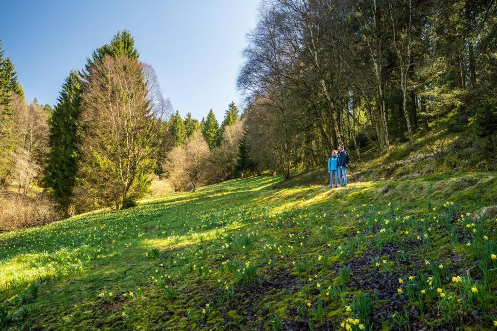 Apartament Haus Sonnentau Monschau Zewnętrze zdjęcie